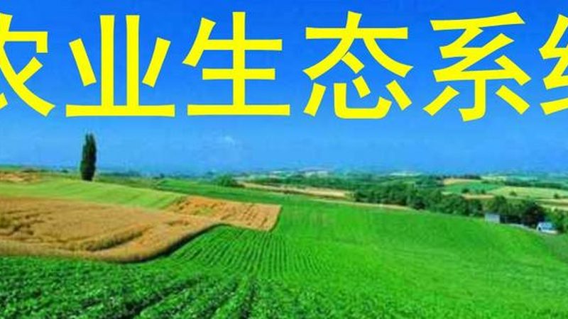 绿色食品参数标准：揭秘绿色食品背后的秘密