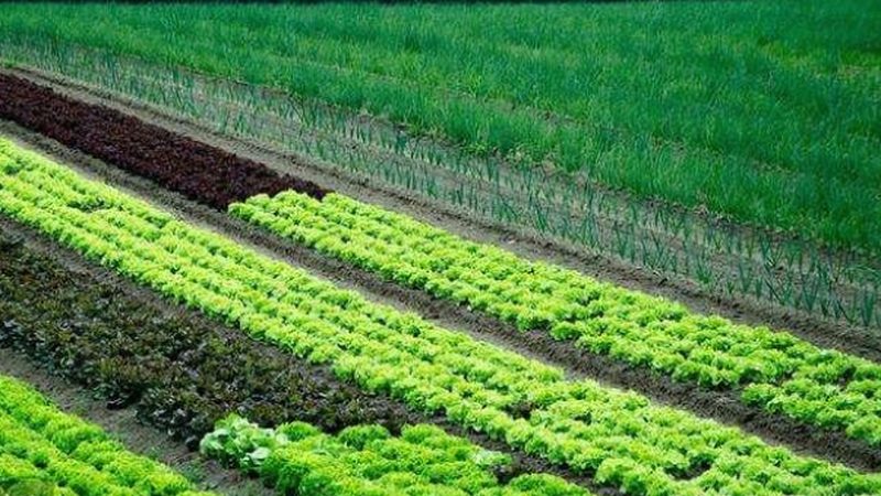 提交注册申请：携带以下材料向当地工商行政管理部门提交注册申请：