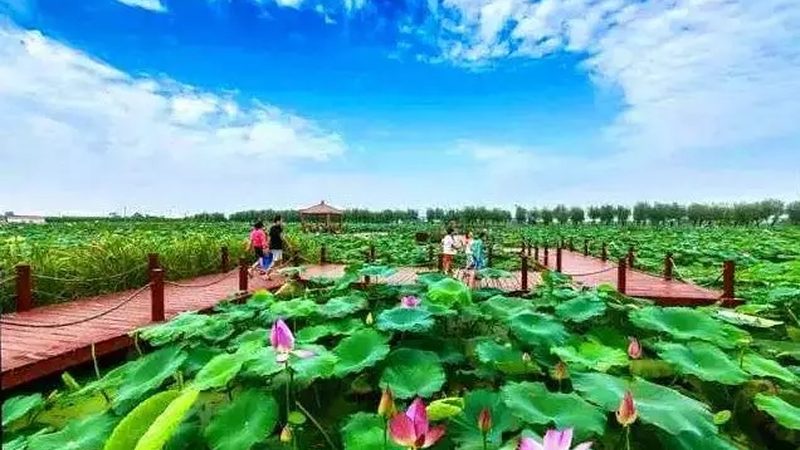 南方水果种植基地：新手创业的沃土选择**