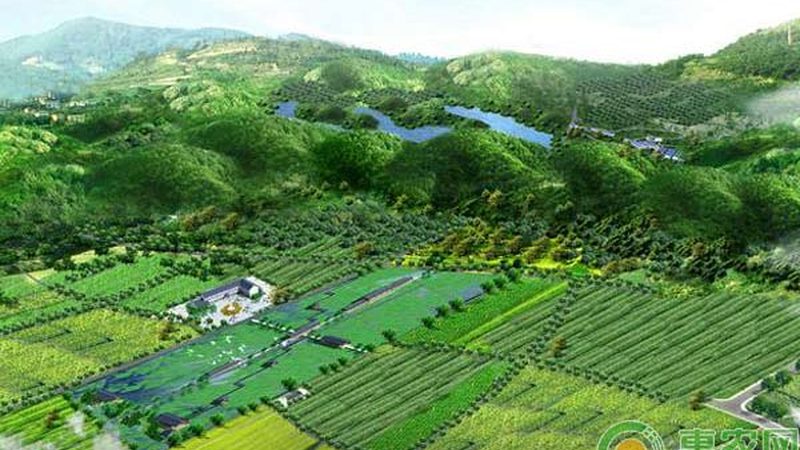地方特色农产品代加工：从原材到产品的华丽转身**