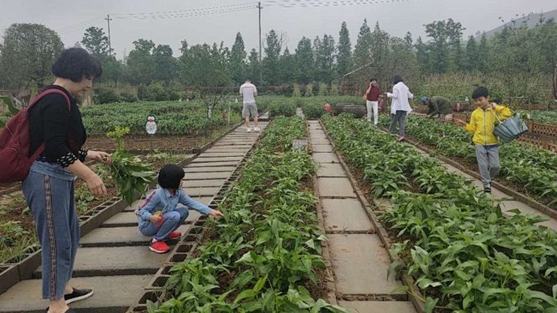 农资批发厂家直供推荐