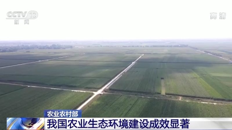 休闲农业园区托管运营：揭秘托管背后的价值与策略**