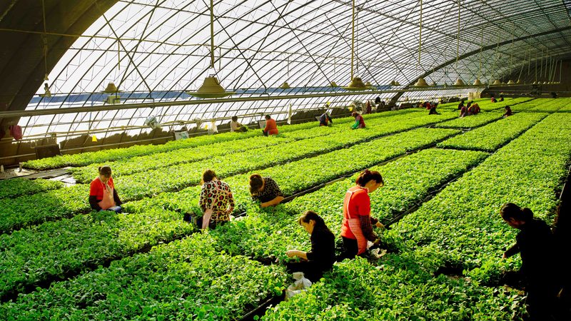 养殖专业合作社饲料供应商