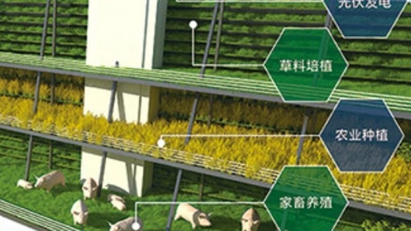 农产品批发供应链管理规范代理：构建高效流通体系的关键**