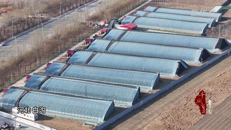 绿色食品包装定制：尺寸分类与选择要点