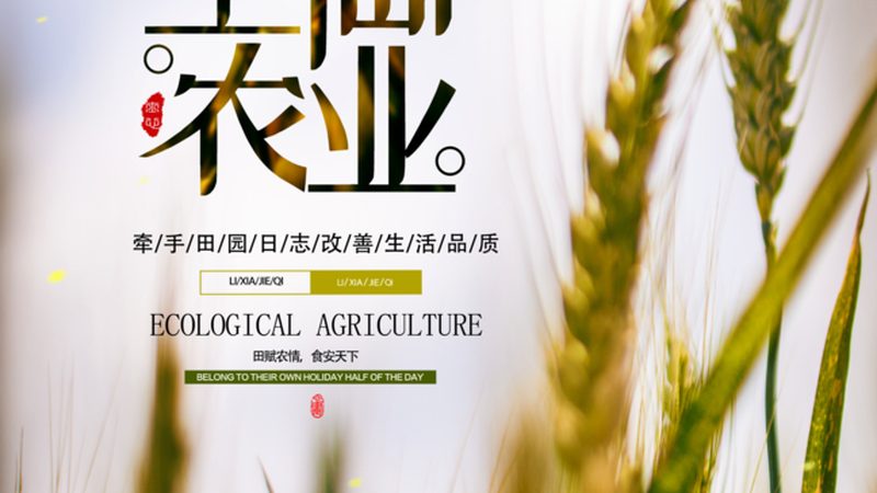 现代农业观光园景观设计方案推荐：打造生态与观光的完美融合